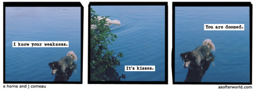 softerworld:  A Softer World: 1053 (Don’t worry. We’re all doomed eventually.) buy this print