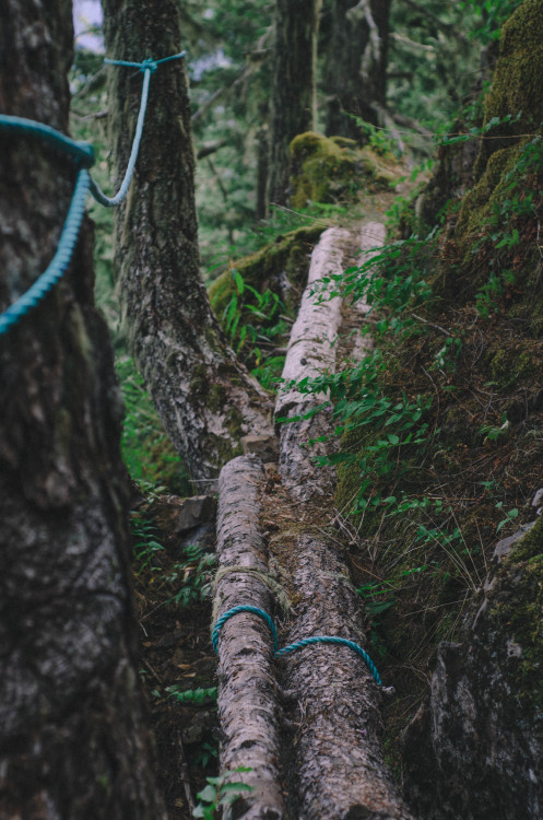 millivedderphotography:  Hold On Flickr|Facebook|Tumblr|Society6  