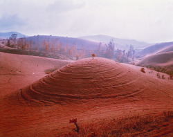 acetoxy:  Aerochrome photographs of the Congo by Richard Mosse