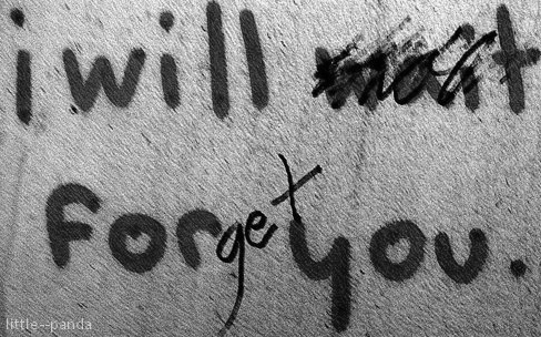 Tumblr's Best Typography