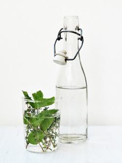 dehmure:  valscrapbook:  Thyme Water by Ornamelle on Flickr.  Organic x