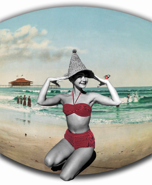 Lady Bird.Collage - 285Vincent Cann production. My collectionnew website : vincentcann.com Follow me