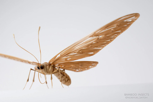 Bamboo Insect Sculptures Brought to Life by Noriyuki SaitohNoriyuki Saitoh stays true to his Japanes