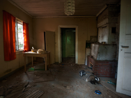 Sex odditiesoflife:  Abandoned Cottages in the pictures