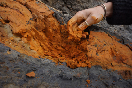 itscolossal:A Multicolored Library of the World’s Ochre Pigments Archived by Heidi Gustafson