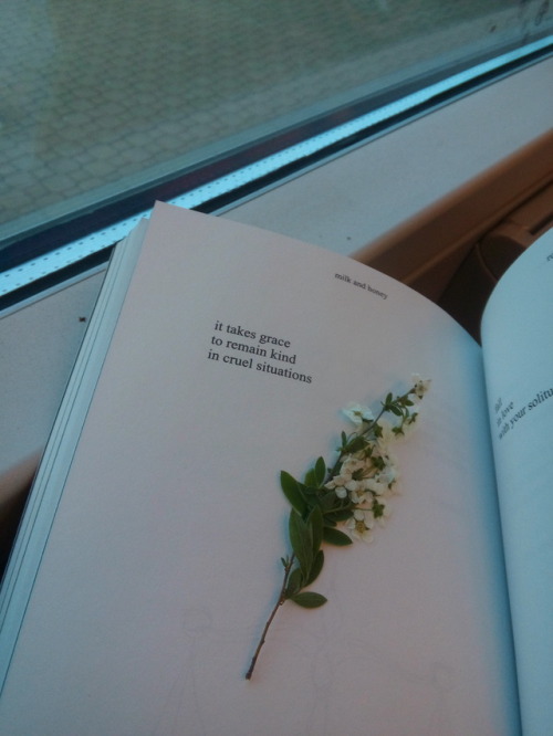 pastelartbabe: rupi kaur, milk and honey