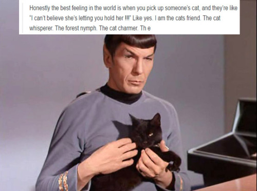 Porn photo bigbyblyad:  Startrek and tumblr text posts