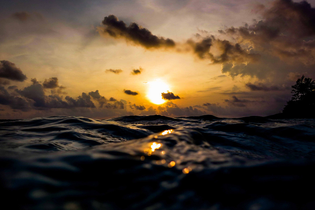 nevver:  A Perfect Day for Bananafish