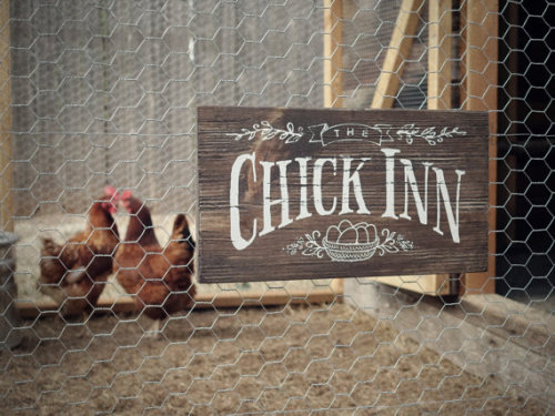 “The Chick Inn” for Chicken Coop //UrbanFringeLiving