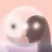 mnnurlana:YOU ARE NOT BODY