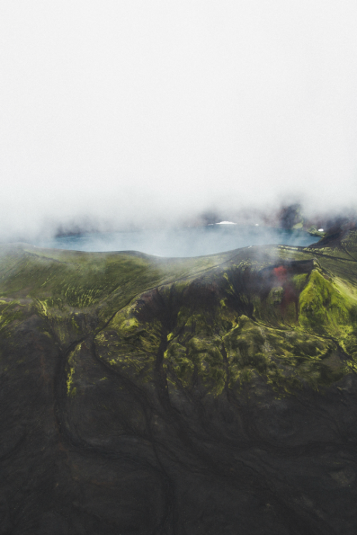 tulipnight: Beneath the fog Benjamin Hardman