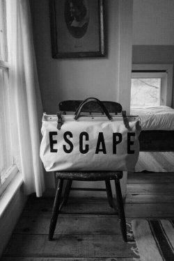 “I am on fire with this thought, this need, this chance to escape.”— Veronica Roth, The TransferDo you have your bag packed? You aren’t the only one. We all have secrets. We all desire. To be free. To feel. To live&hellip;