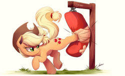 ncmares: EQD NATG Day 3.Applejack limbers