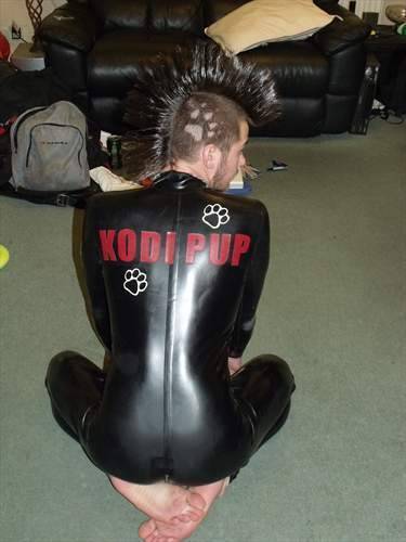 bootbrushpup:  pupkodiak:  Woo! More Kodi love!  Pups!!! Loving Kidi’s ‘hawk