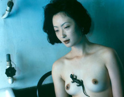 endthymes:  Nobuyoshi Araki 