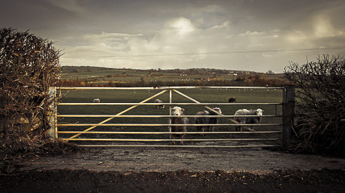 ‘Visualising the Rural’ Photographing the rural areas of the South Lakes, Cumbria.