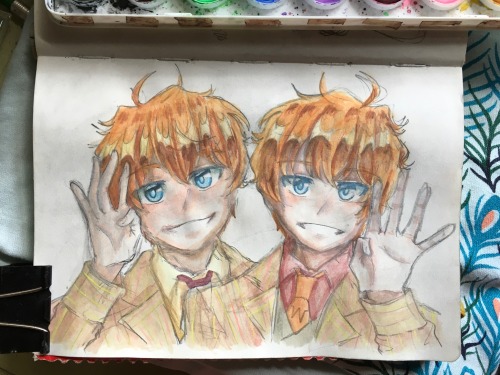 HARRY POTTER