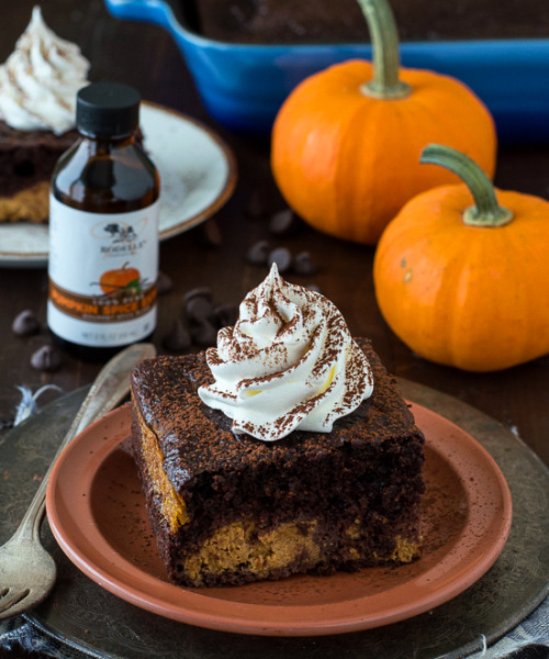 Porn delicious-food-porn:Chocolate Pumpkin Magic photos