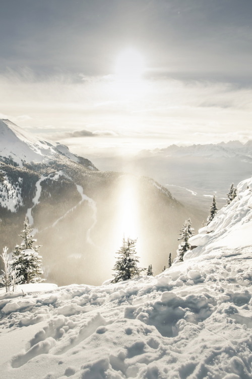 r2–d2:  Shine by (nicholasdyee) | Follow on Tumblr 