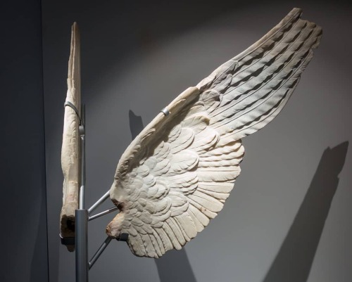 arthistoryfeed: Marble wings of the goddess Victory found in the Domus Tiberiana of the imperial pal