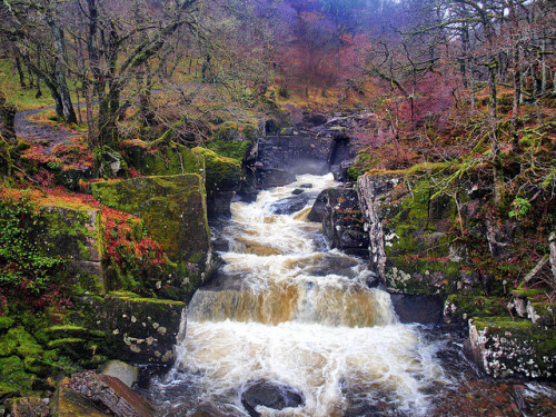 Bracklinn Falls » by edowds