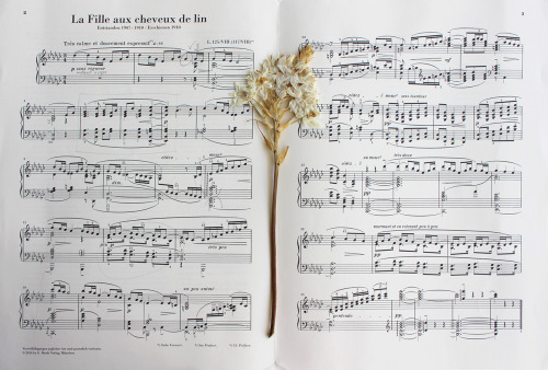 darkmacademia:some of my favourite piano pieces + pressed flowers.