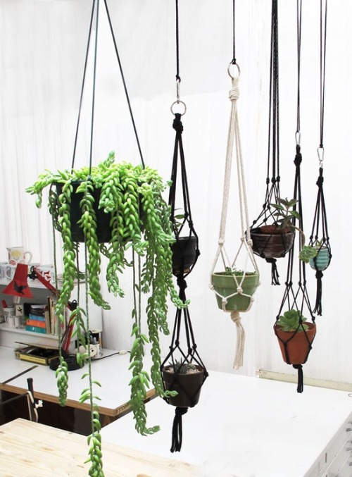 uncovet:
“ In the last year or so, we’ve seen a lot of new & cool plant decor techniques like above. If you’re a plant novice or too busy to water frequently, buy these plant kits that literally water themselves. Surround them with easy to maintain...