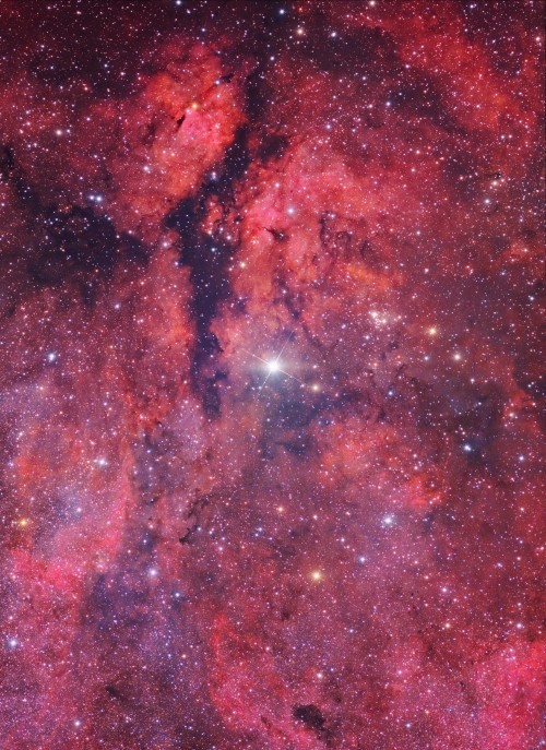 afro-dominicano:
“ Gamma Cygni by R. Colombari / F. Antonucci
“ Gamma Cygni is the Bayer designation for a star in the northern constellation Cygnus, forming the intersection of an asterism of five stars called the Northern Cross. [**]
” ”