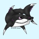 emo-shark avatar
