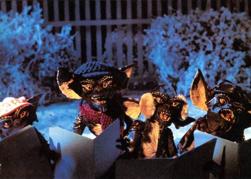 directorgerardoduran:  Gremlins 2