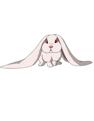 Lop-eared rabbit, Avatar Wiki, Fandom