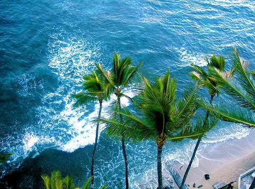 dreams