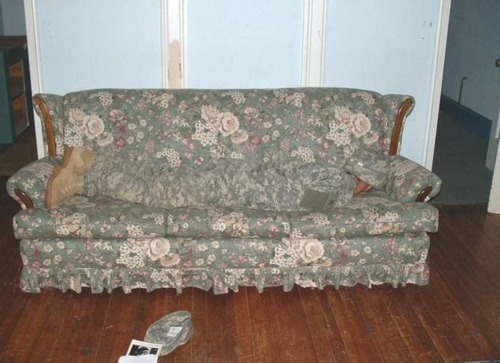   A Soldier and a Marine just testing out their camo.  