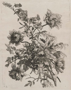 heaveninawildflower:  ‘Bouquet with Peonies’ (circa 1640–86) by Jean Vauquer (1621–1686). Etching.Image and text courtesy MFA Boston. 