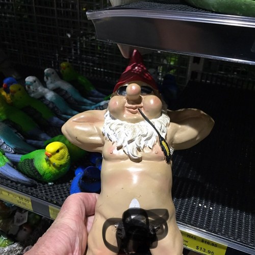 Sunbaking garden gnome I found at Roni’s Home Depot yesterday (had to censor as FB/Insta would say i