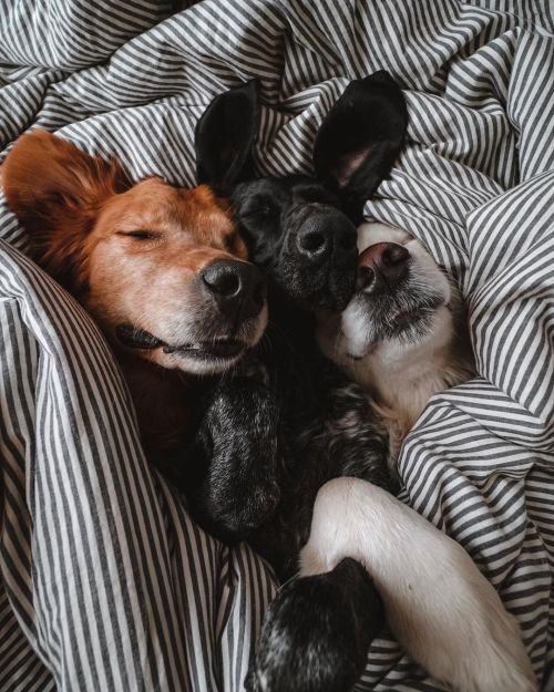 delta-breezes: Watson &amp; Kiko | @wat.ki