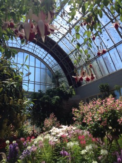 ethxrealism:  Today was magical going to the auckland gardens 