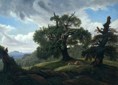 Memory of a Wooded Island in the Baltic Sea (Oak Trees by the Sea), Carl Gustav Carus, 1834-35