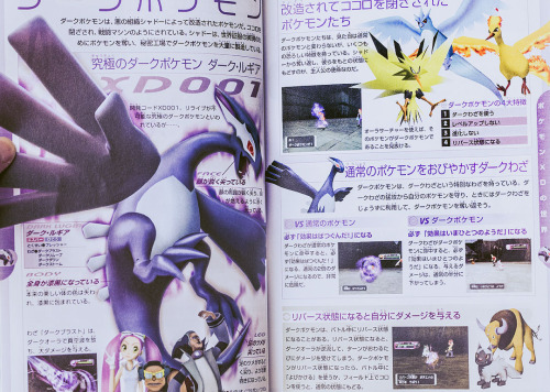 tepigs-trotters: Pokémon XD: Gale of Darkness Japanese strategy guide