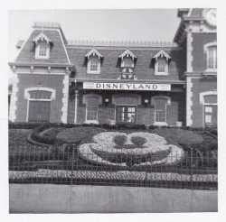 fifties-sixties-everyday-life:  Disneyland, c. 1950s. 