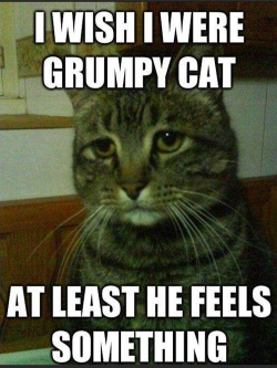 katskinx:  gerardoasalinas:  I’m not one who usually post memes but  I sympathise with this cat.   emo cat.