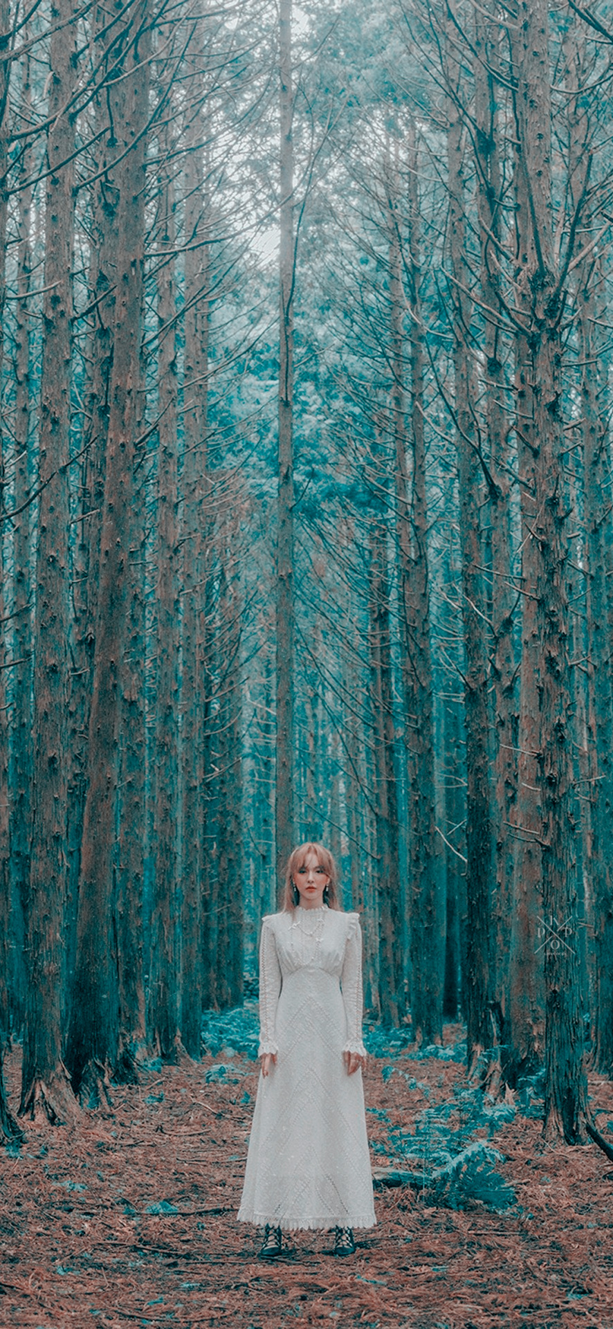 Wendy; Like Water
