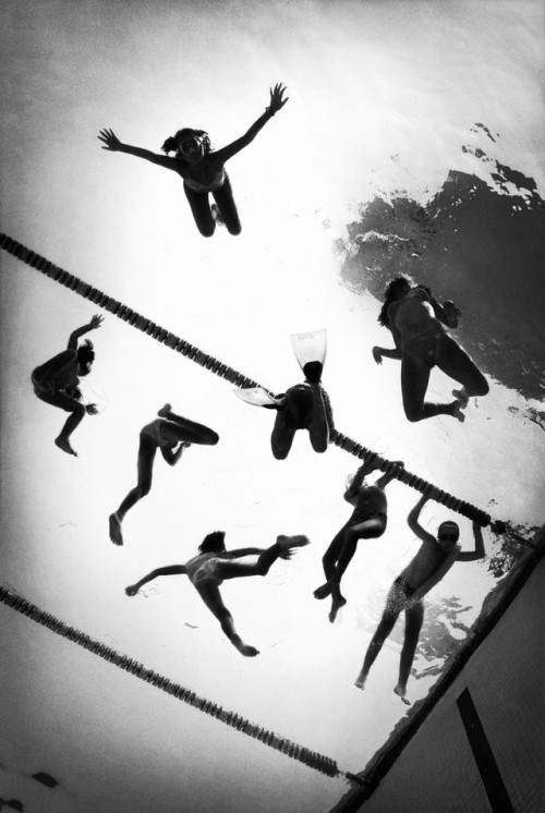 almavio: © Damion Berger • In the Deep End - Lightbox, Stade Nautique Ranier III, Monaco 2002 