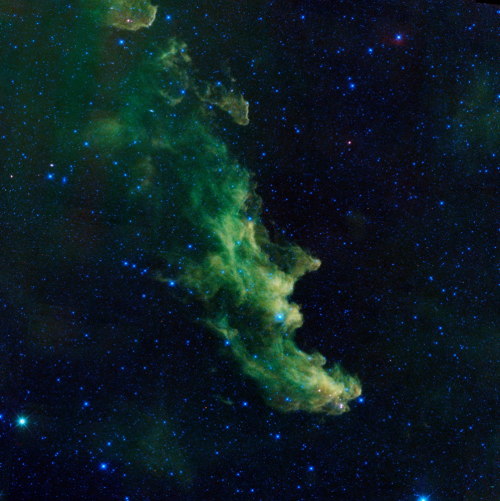 spaceexp:  New view of the Witch Nebula is actually the home of baby stars just beginning their cosmic lives. 