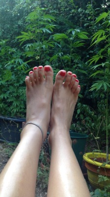 hippie-feet:  😁