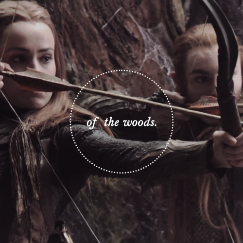 nenuials: of the woods. - listena playlist for the elves of mirkwood There were many people there, e