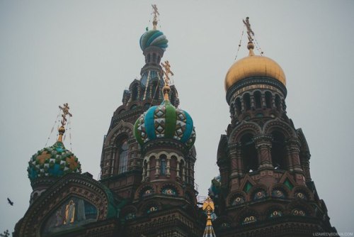 melodyandviolence:   Saint Petersburg, Russia by  Liza Medvedeva