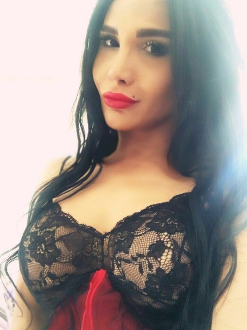 #shemale #gay #tranny #ladyboy #antalya #escort adult photos