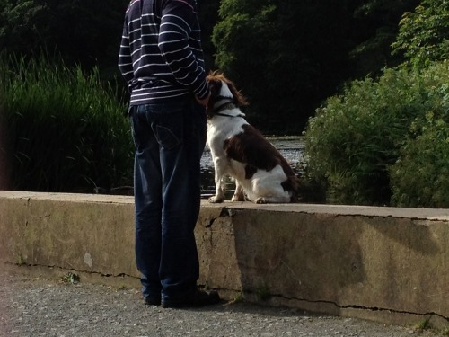 At the park at Culzean Castle - Ayrshire, Scotland