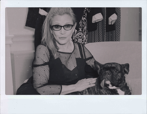 emmacharlottewatson: Stay afraid, but do it anyway. What’s important is the action. You don’t have to wait to be confident. Just do it and eventually the confidence will follow. Happy Birthday, Carrie Fisher! (october 21, 1956)   